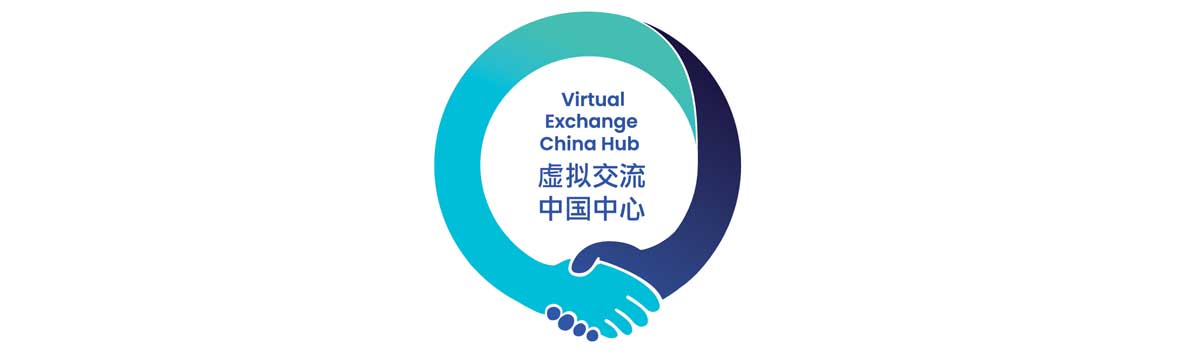 logo of the VE China Hub